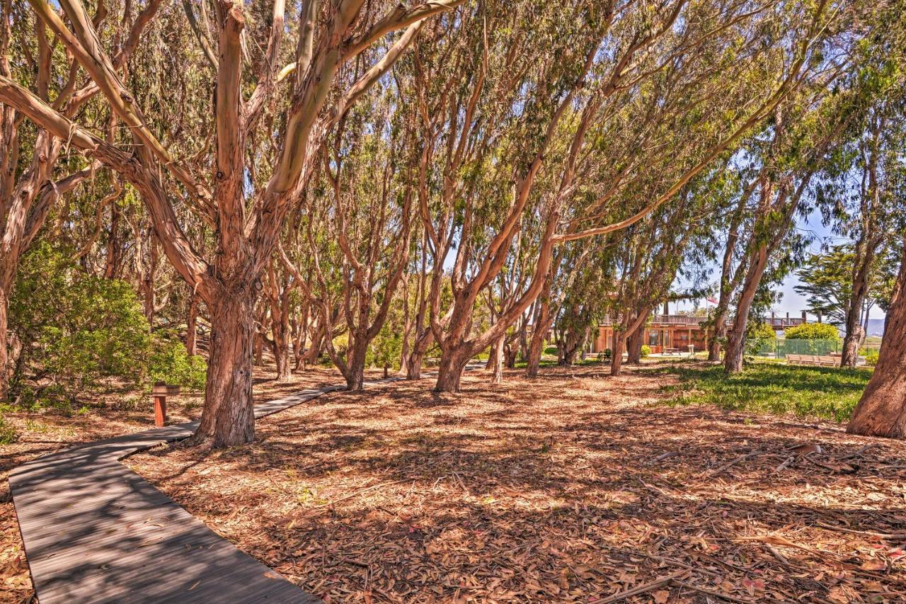 Beachfront Condo With Monterey Bay Views! Watsonville Eksteriør billede